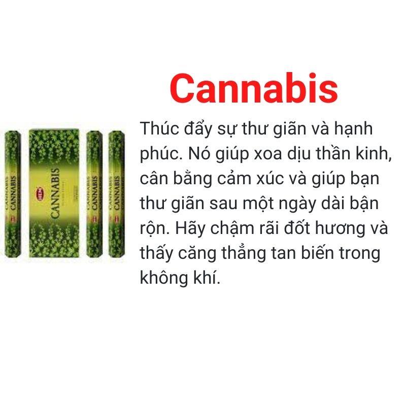 Hương nhang HEM12 Cannabis