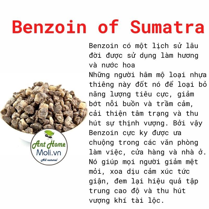 Benzoin of Sumatra 5gr