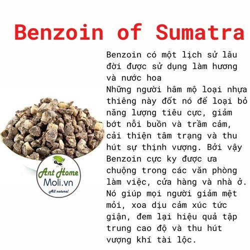Benzoin of Sumatra 5gr