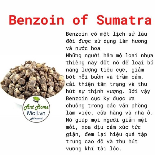 Benzoin of Sumatra 5gr