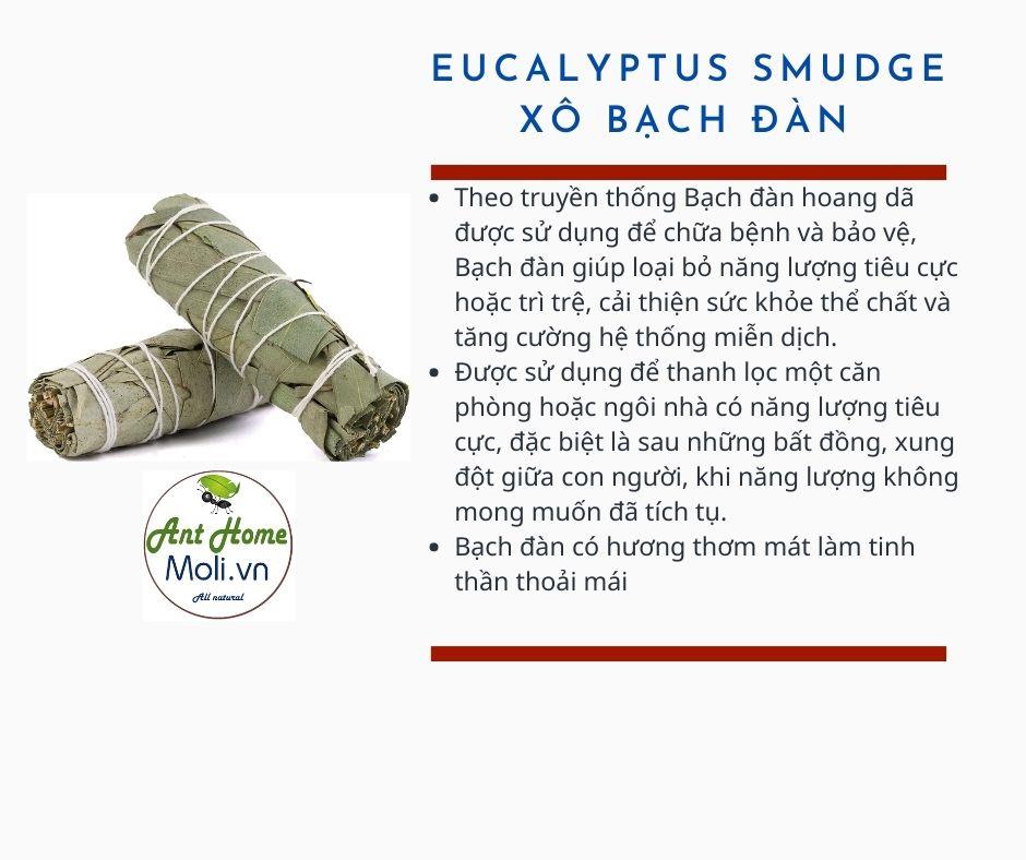 Xô Bạch Đàn Eucalyptus smudge 11cm