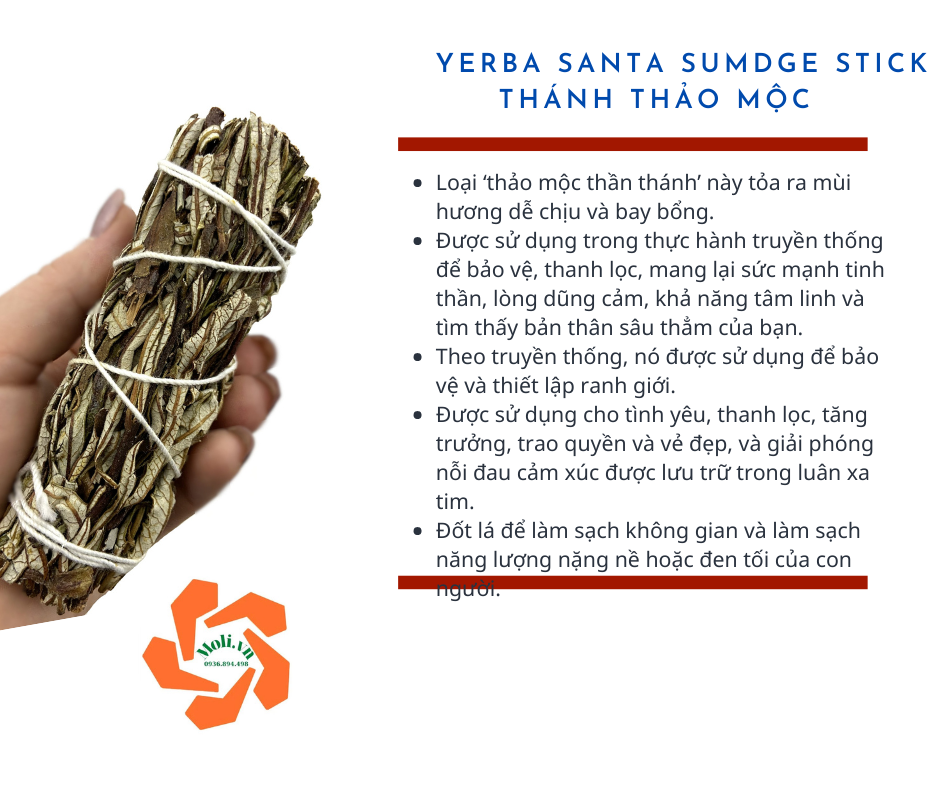 Yerba Santa - Thanh Thảo mộc - Cỏ tình yêu