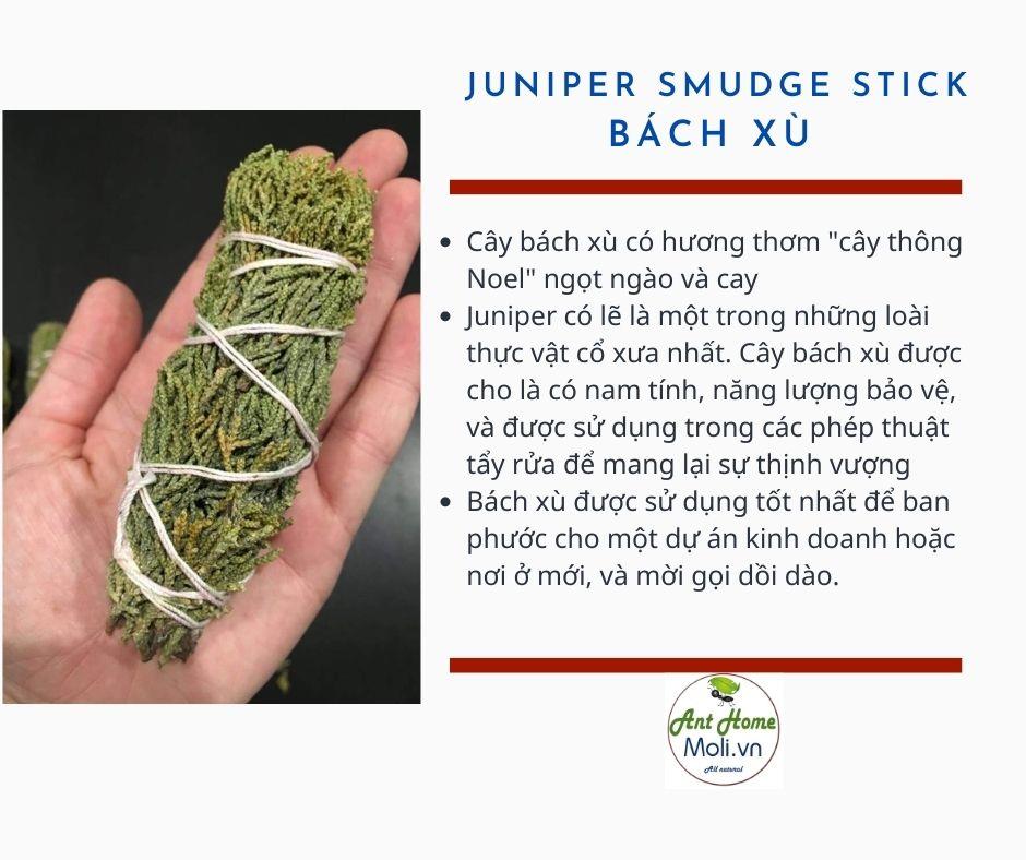 Bó Bách Xù 11cm Juniper smudge stick 