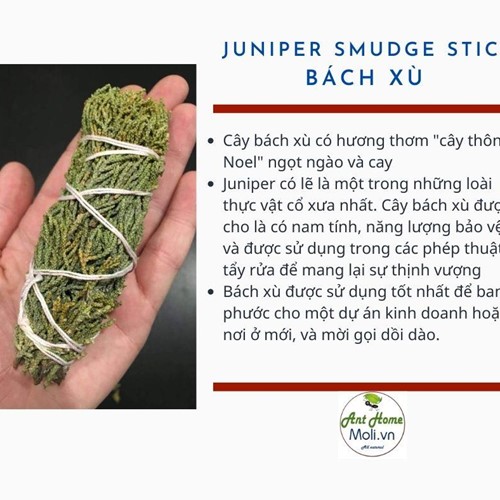 Bó Bách Xù 11cm Juniper smudge stick 