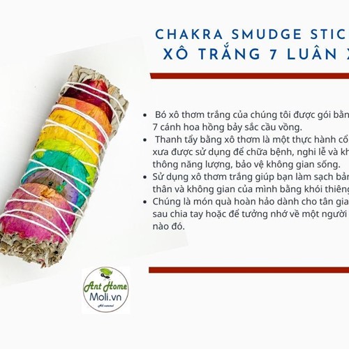 Bó Xô Trắng 7 luân xa - Chakra smudge stick 11cm