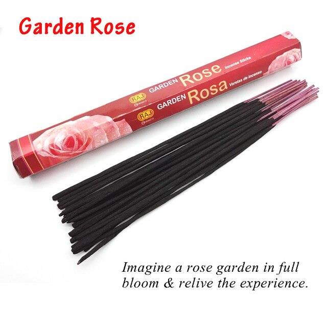 Nhang RAJ Garden Rose