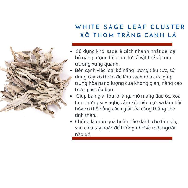 50gr Cành lá xô thơm trắng (White sage)