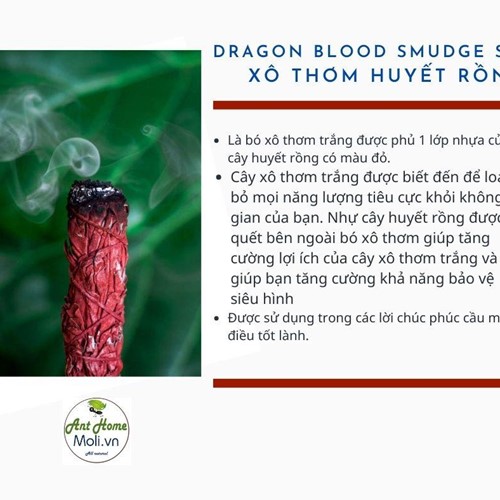 Bó xô thơm huyết rồng - Dragon blood smudge stick 11cm