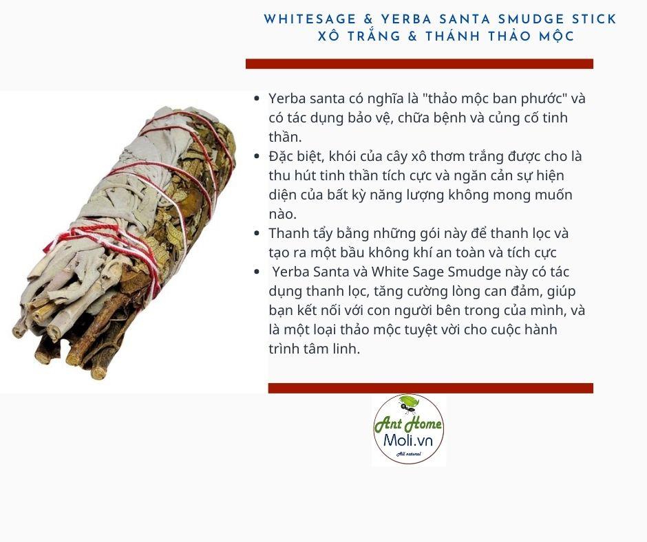 Bó xô trắng mix thánh thảo mộc Whitesage & yerba santa smudge stick 11cm