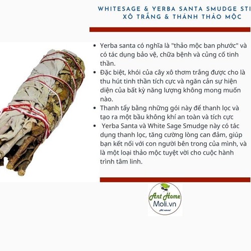 Bó xô trắng mix thánh thảo mộc Whitesage & yerba santa smudge stick 11cm