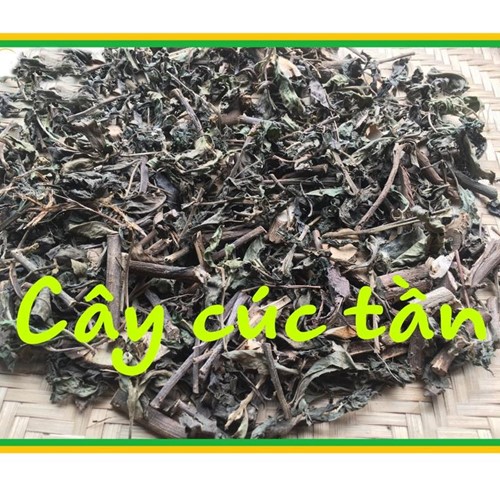 0.3kg cúc tần - Đại bi